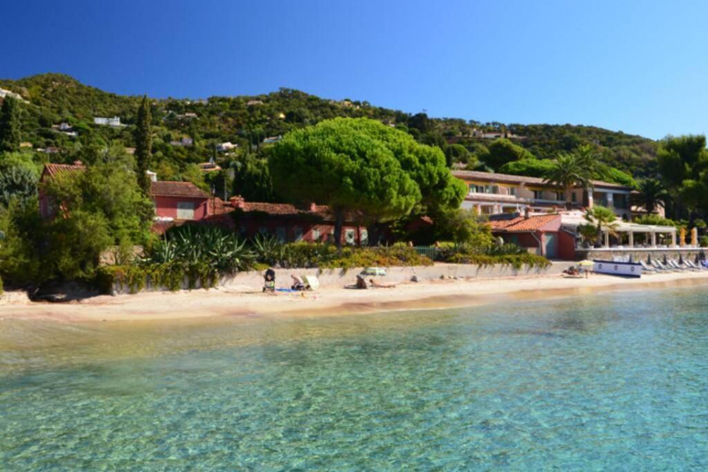 Magnifique Studio A 50M De La Plage De Cavaliere - Studio Tamarindo Le Lavandou Buitenkant foto